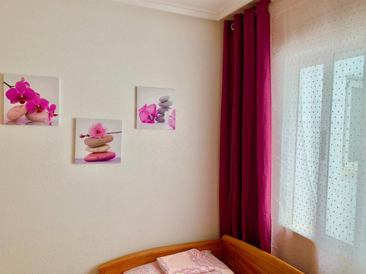 Apartamento Felix De La Fuente 托雷维耶哈 外观 照片