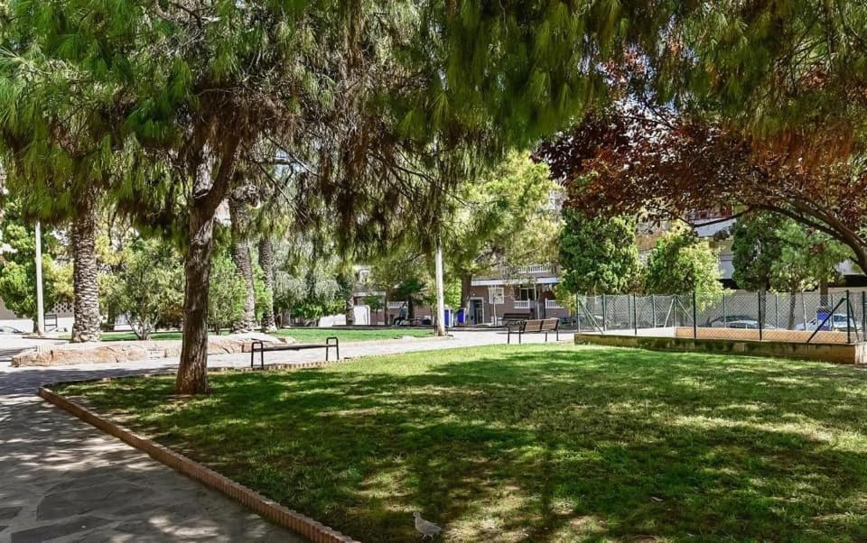 Apartamento Felix De La Fuente 托雷维耶哈 外观 照片